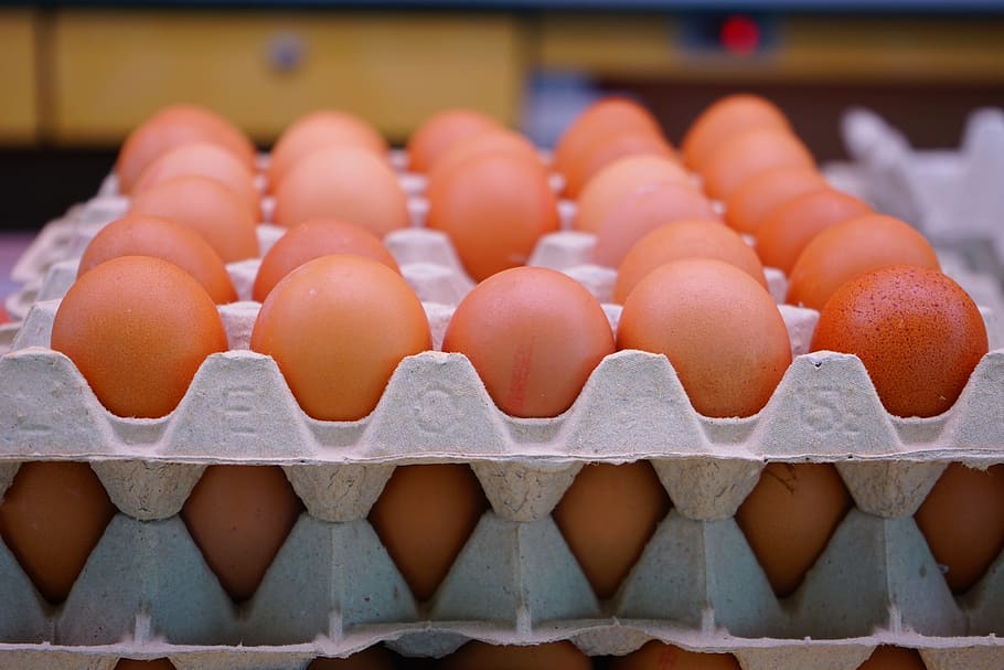 close-up photo, brown, eggs, tray, egg, chicken eggs, egg carton, egg packaging, egg box, plate shape