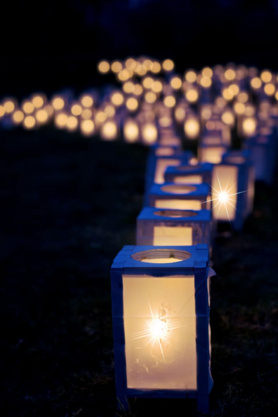 blue candle lanterns, lights, christmas luminaries, night, dark, decoration, holiday, lantern, candle, glowing