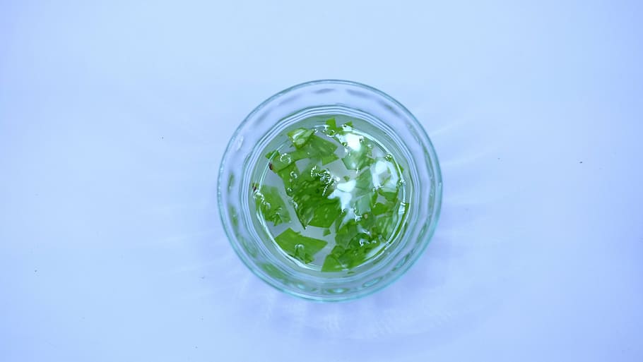 round, green, clear, plastic ornament art illustration, aloe vera, herbal, potion, refreshment, green color, drink