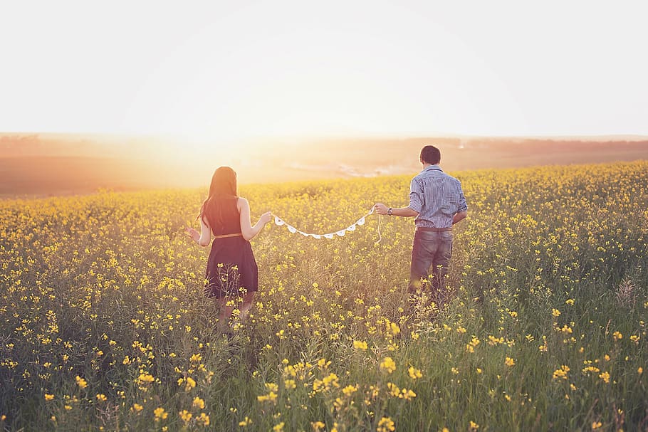 man, woman, yellow, rapeseed flower field, sunset, canola, couple, field, in love, walking