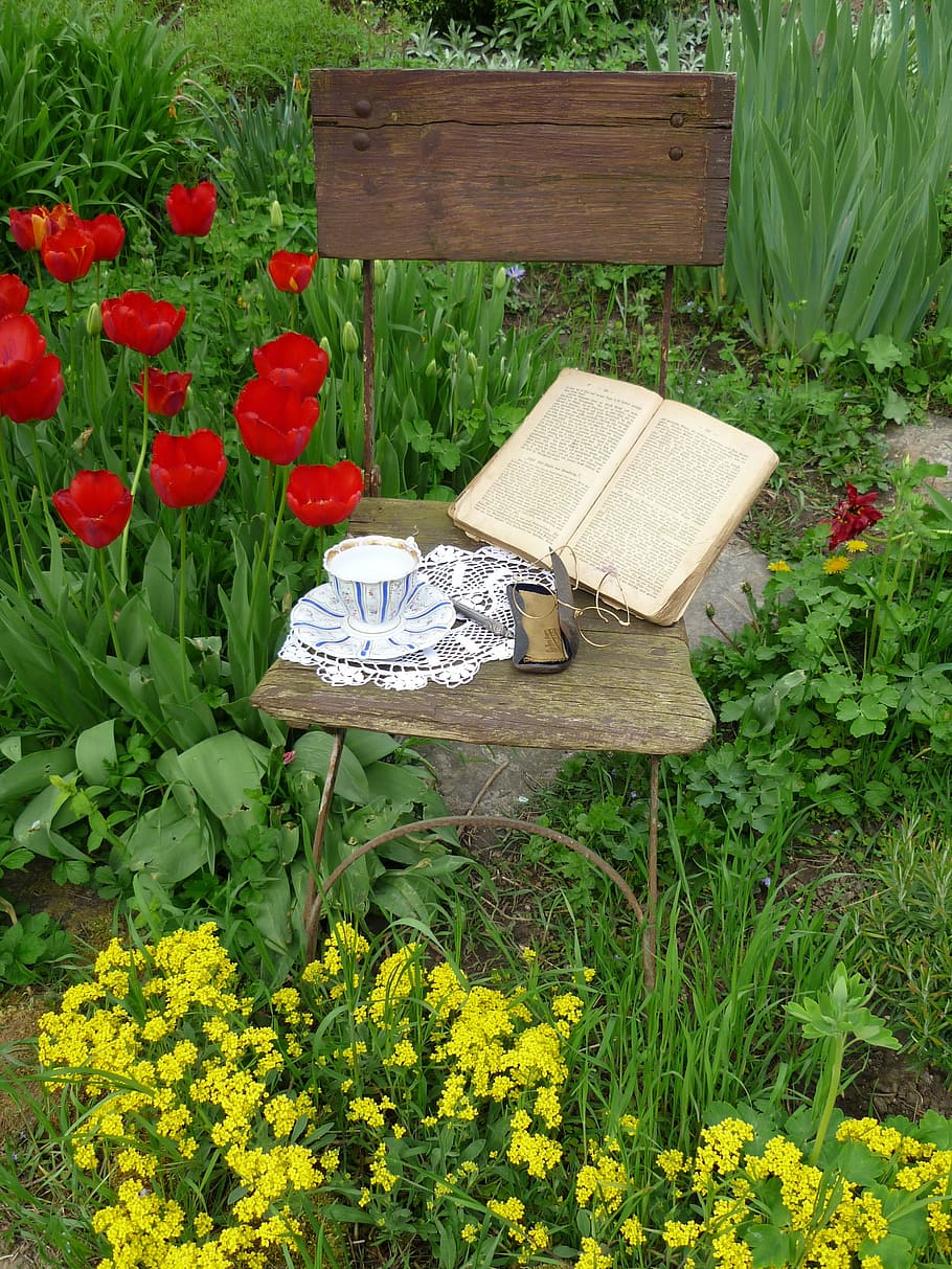 brown, printed, book, case, teacup, saucer plate, chair, printed book, saucer, plate