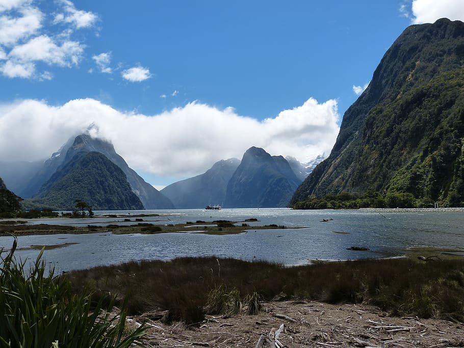 milford, sound, new zealand, landscape, gorge, nature, south island, water, ocean, sea