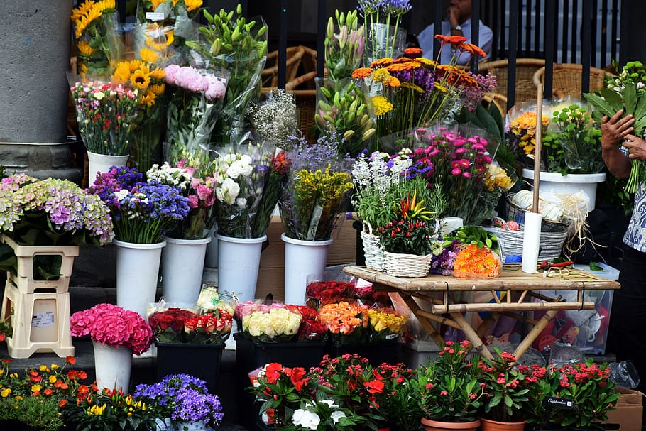 flowers, market, bouquettes, colors, sale, plant, shopping, flowering plant, flower, retail