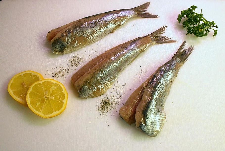 maties, herring, fish, eat, food, edible, food and drink, healthy eating, freshness, citrus fruit