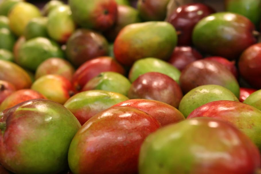 녹색과 빨강 과일 로트, 망고, 과일, 많은, 시장, 배경, 쓴, 아침 식사, 밝은, c