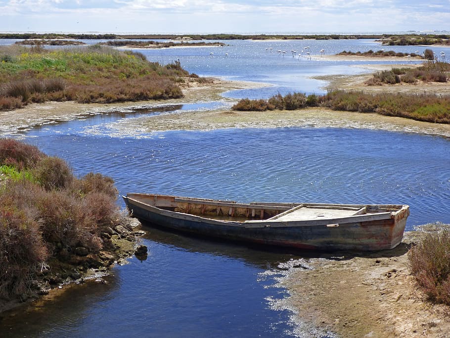 Barca, Abandoned, Marshes, Ebro Delta, scene seafaring, abandonment, boat, water, nautical Vessel, nature