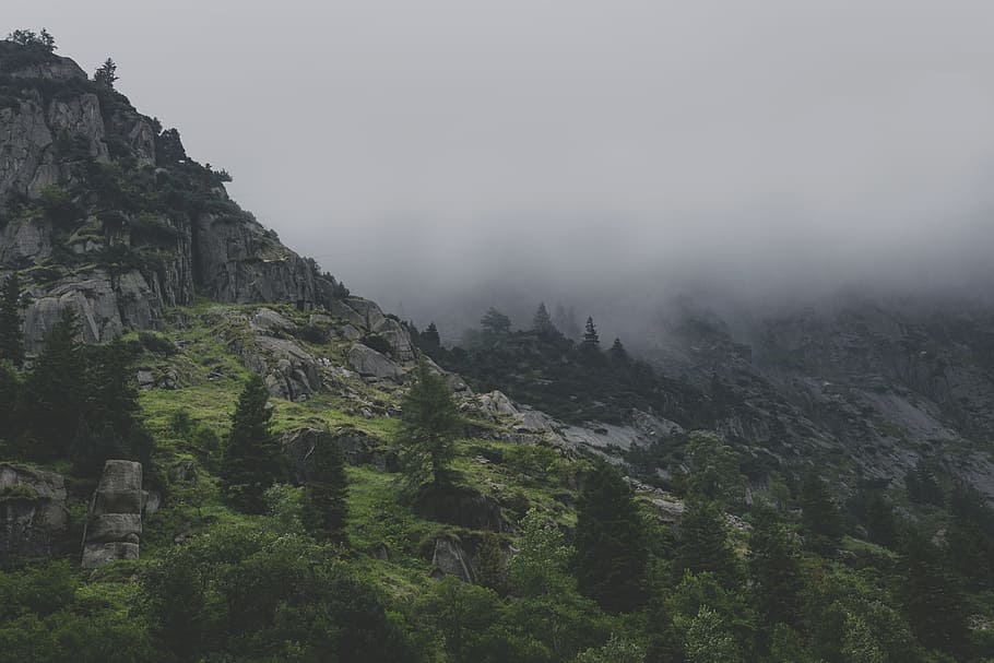 landscape photo, mountain, green, gray mountain, mountains, fog, gloomy, landscape, clouds, pass