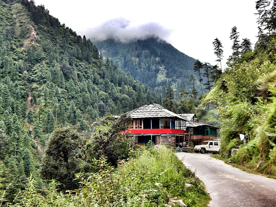 red, gray, house, surrounded, trees, tirthan valley, great himalayan national park, himachal pradesh, himalayas, mountains