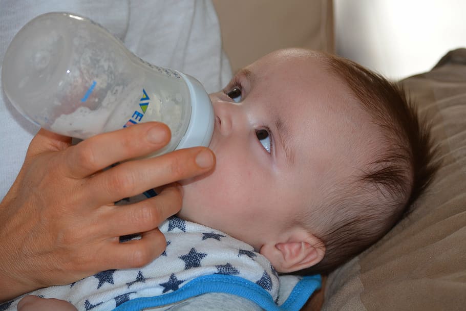 person, feeding, baby milk, bottle, baby, young, people, plush, boy, child