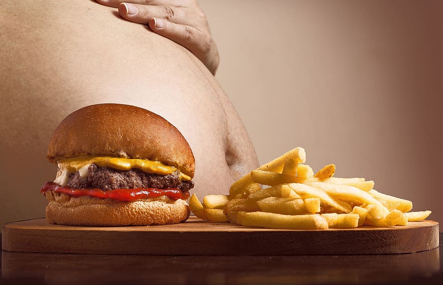 burger patty, cheese, fries, platter, hamburger, p, french fries, belly, abdominal fat, fat