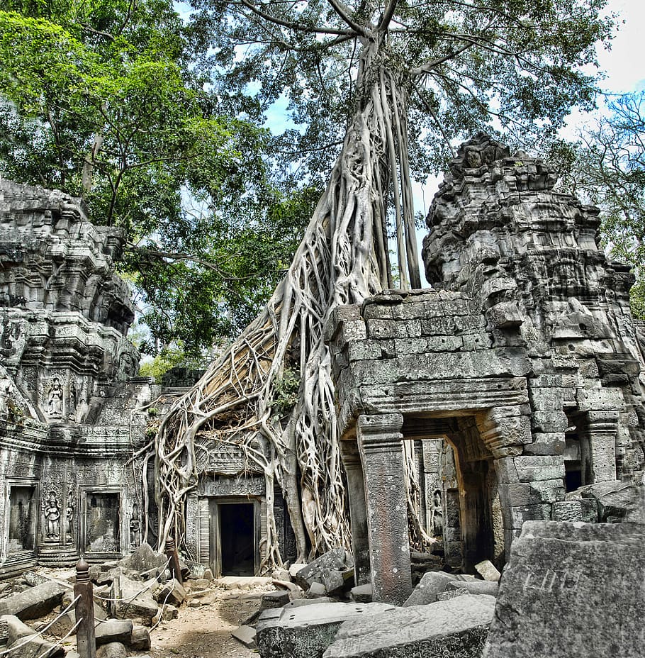 gray, stone temple, ta prohm, cambodia, angkor, wat, tourism, architecture, travel, landmark