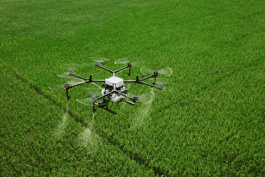 dji, agricultura, uav, dron de protección de plantas, protección de plantas, tierras de cultivo, agras, dron, agricultura de dji, arroz