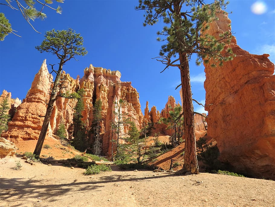 Bryce Canyon, Hiking, Utah, Landscape, orange, rock - object, travel destinations, rock formation, desert, ancient