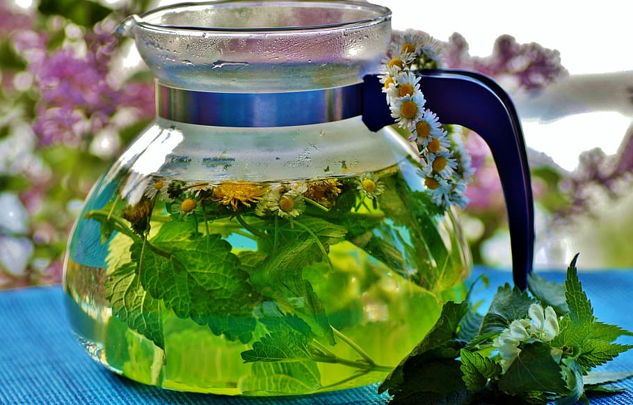 ervas, chá, a infusão, fresco, bebida, saúde, jarro, quente, cura, vernal