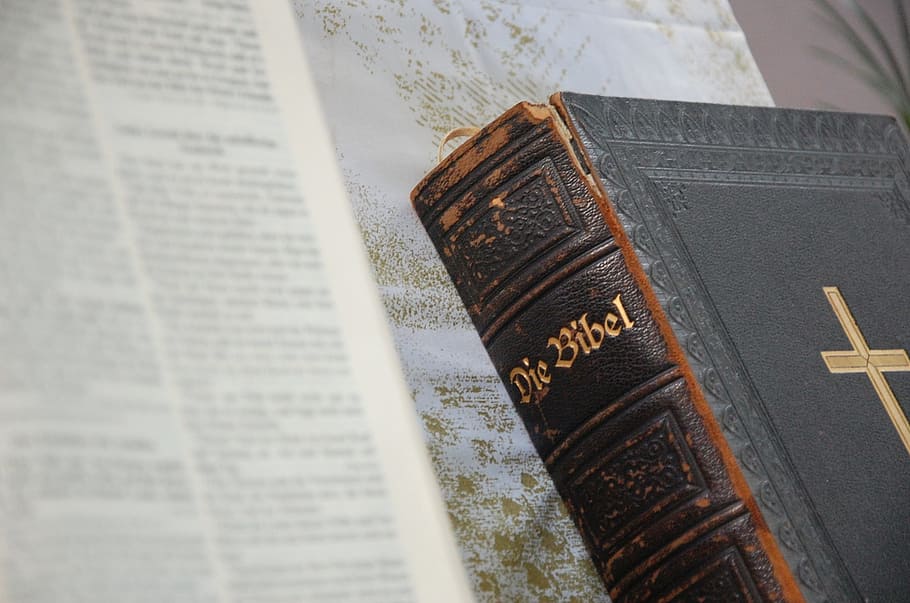 shallow, focus photography, die, bibel, bible, old, church, new, history, text