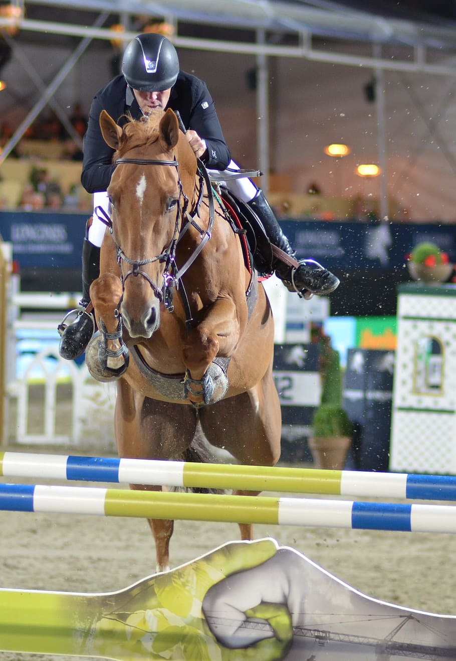 obstacle, show jumping, tournament ride, tournament, competition, equestrian, domestic, domestic animals, mammal, sport