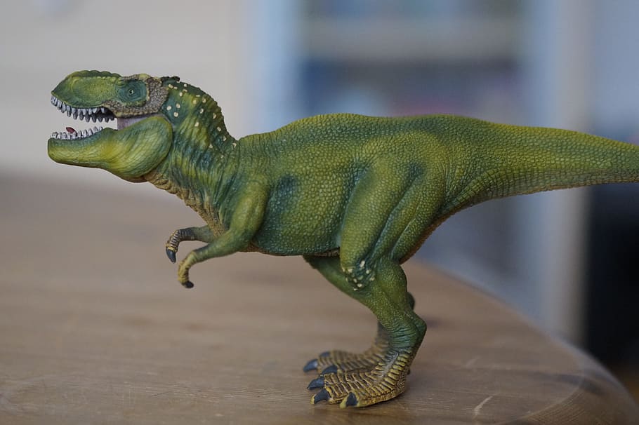 green, plastic dinosaur toy, Dinosaur, Tyrannosaurus Rex, dino, replica, toys, children, prehistoric times, t rex