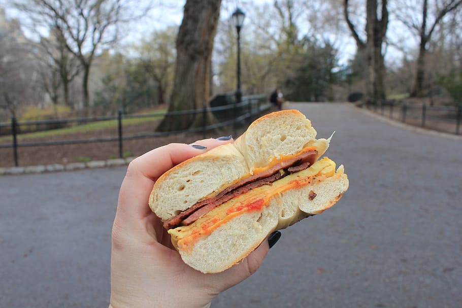 bacon egg and cheese, breakfast sandwich, bagel, new york, central park, foodie, human hand, holding, hand, one person