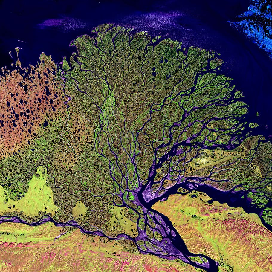 lukisan abstrak, tampilan udara, gambar satelit, foto satelit, delta sungai, lena, sungai, arus, siberia, rusia