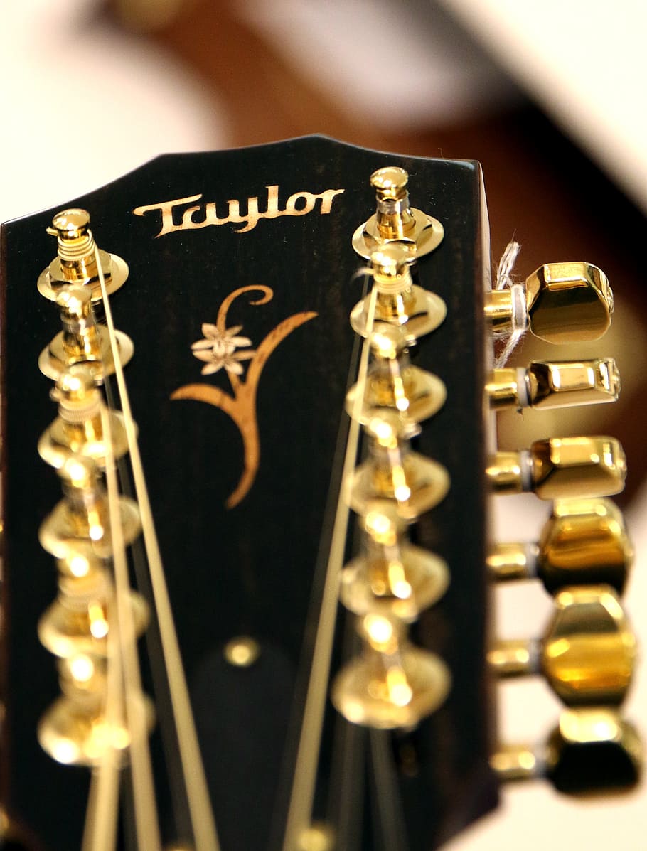 guitar, acoustic guitar, strings, taylor, 12 string, guitar head, acoustics, stringed instrument, wooden guitar, musical instrument