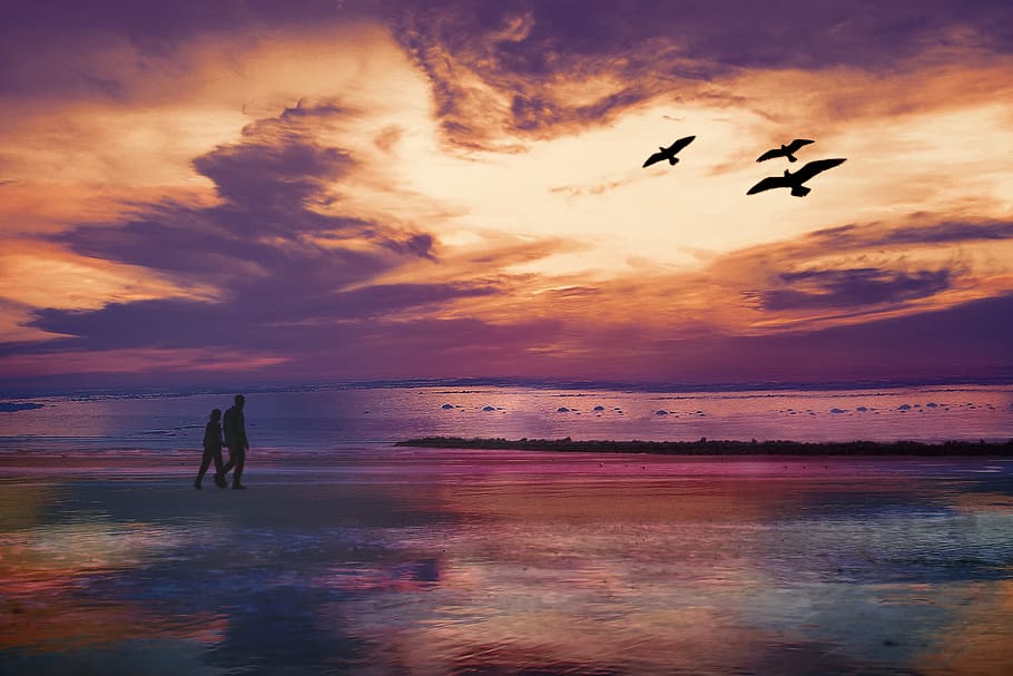 silueta, dos, personas, tres, pájaros, púrpura, naranja, puesta de sol, playa, dos personas