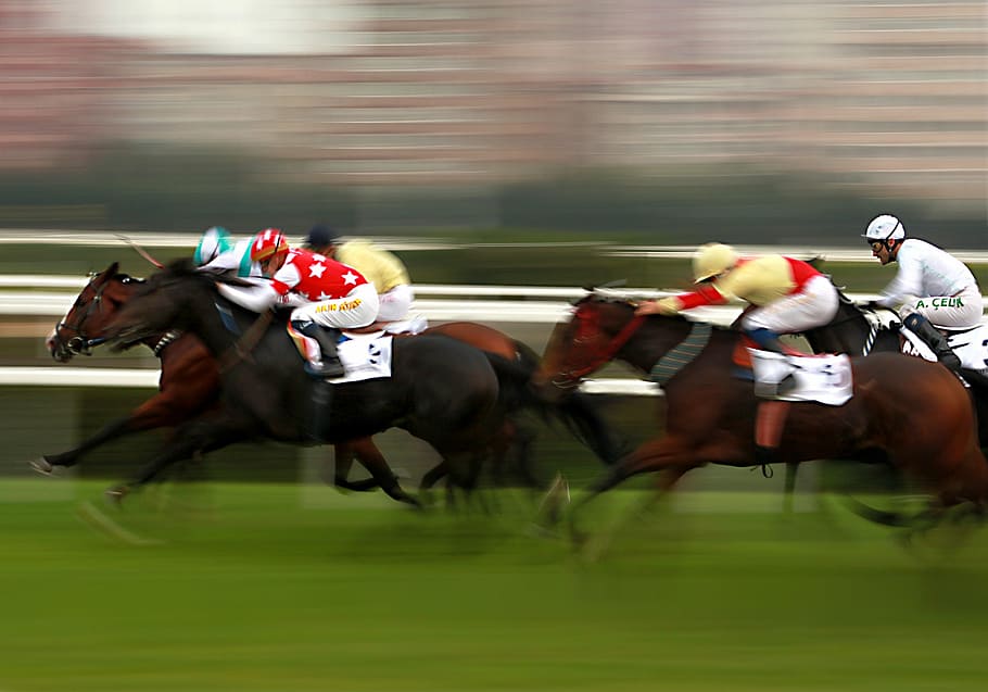 馬に乗る人, 馬, 競走馬, 競争, レース, ランニング, パン, 速度, フィールド, 草