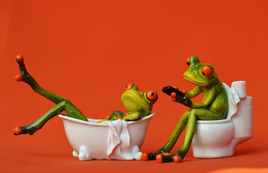 two, green, frogs, bathtub, toilet bowl, bath, loo, funny, bathroom, session