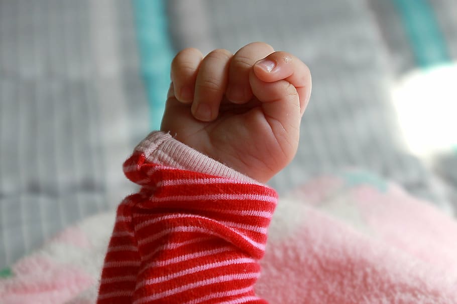 puño de bebé, infantil, mano, pequeño, cerrado, dedos, joven, humano mano, primer plano, mano humana