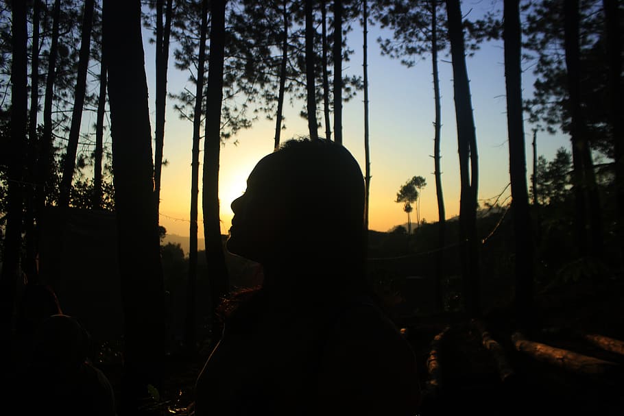 love, girl, outdoors, bandung, indonesia, nature, tree, silhouette, sunset, plant