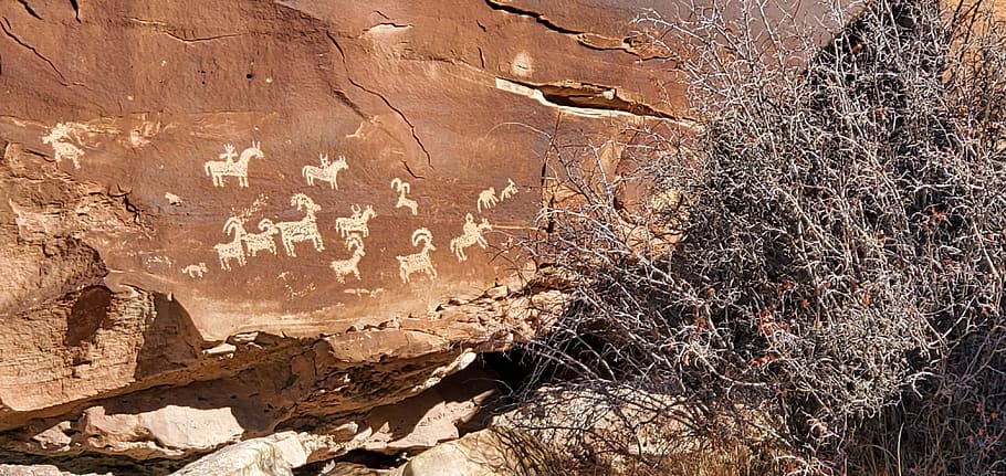 petroglyph, moab, lengkungan taman nasional, utah, batu, peternakan serigala, penunggang kuda, domba, hari, tidak ada manusia
