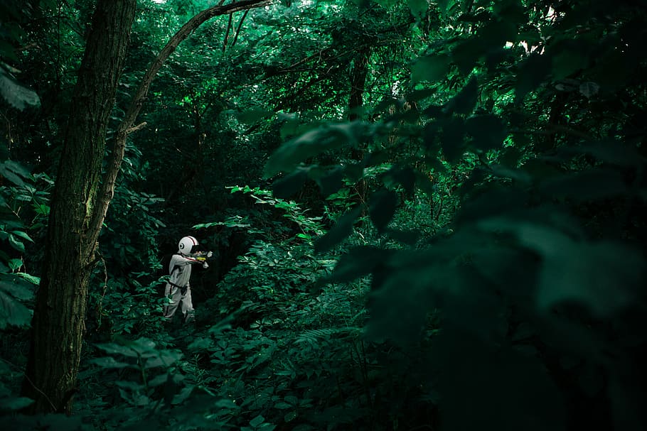 person, helmet, forest, wearing, white, costume, middle, green, trees, plants