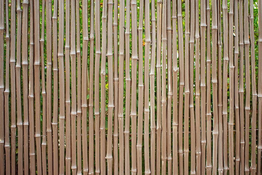 tree, fence, texture, wood, background, boards, bamboo, cane, full frame, backgrounds