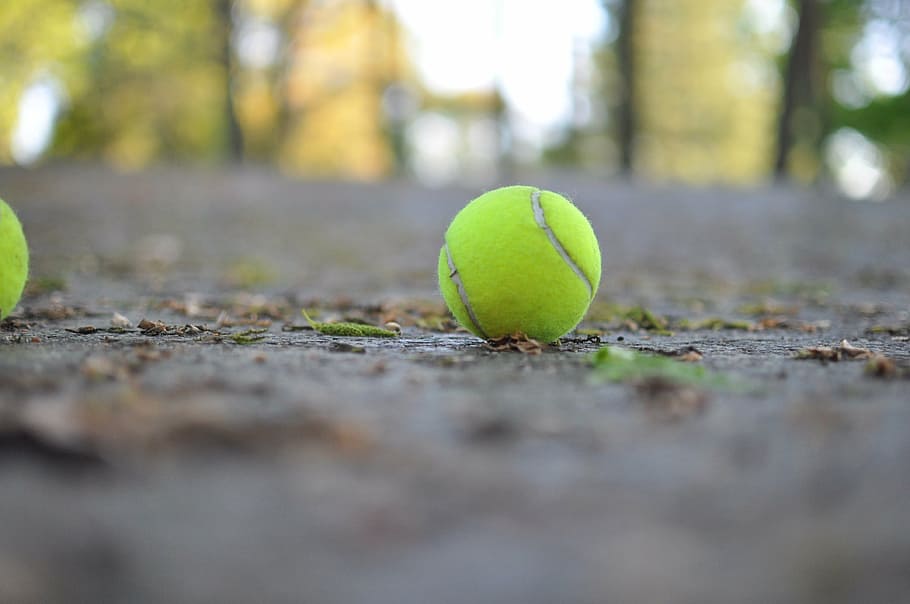 bola, tenis, olahraga, peralatan, bola tenis, di luar ruangan, lapangan, raket, fokus selektif, warna hijau