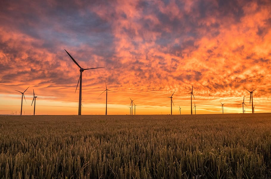 windmill during sunset, clouds, field, grass, silhouette, sky, sunrise, sunset, windmills, alternative energy