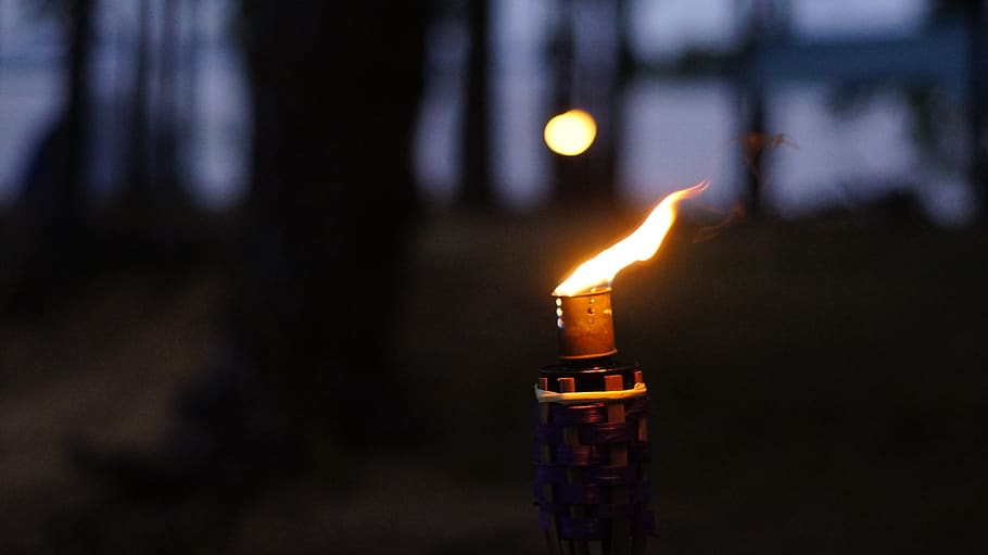 torch, night, fire, nature, torches, light, flame, burn, lamp, in the evening