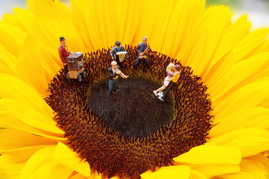 yellow sunflower, miniature, ho2, figures, chapel, music, macro, funny picture, musician, funny