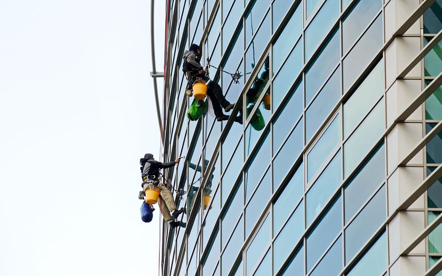 people, men, adult, hanging, ropes, cleaning, facade, building, windows, glass