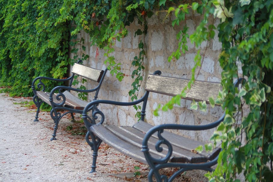 bench, park bench, city, leaves, green, garden, zadar, seat, plant, day