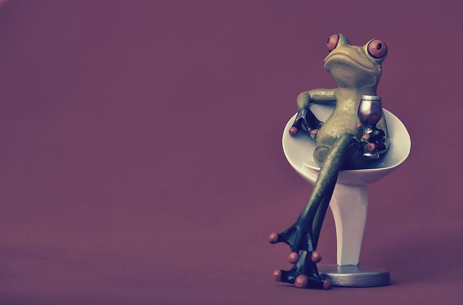 frog, chair, cozy, drink, wine, soaked, cute, sweet, funny, relaxation