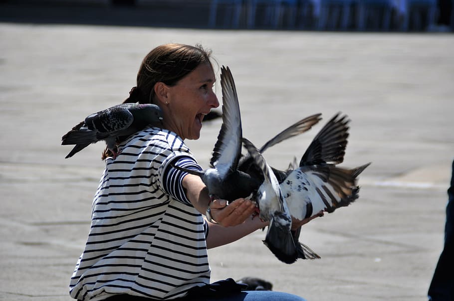 pigeons, woman, daytime, venice, st mark's square, italy, venezia, san marco, feed, face