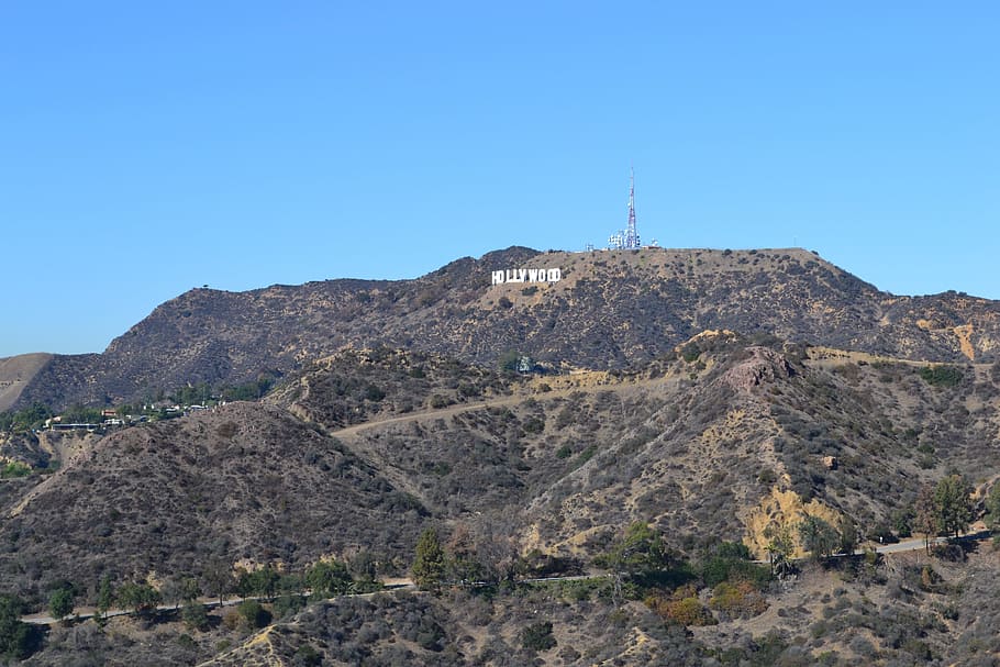 ハリウッドサイン, カリフォルニア, 昼間, ハリウッド, ロサンゼルス, 山, 記号, ハリウッドヒル, 風景, 荒野