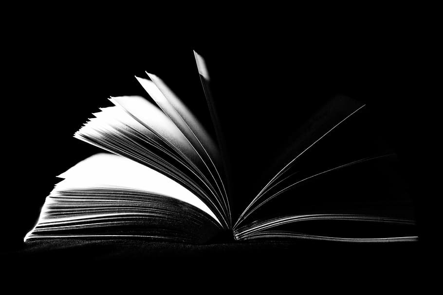 black, white, book illustration, book, open, pages, literature, textbook, school, reading