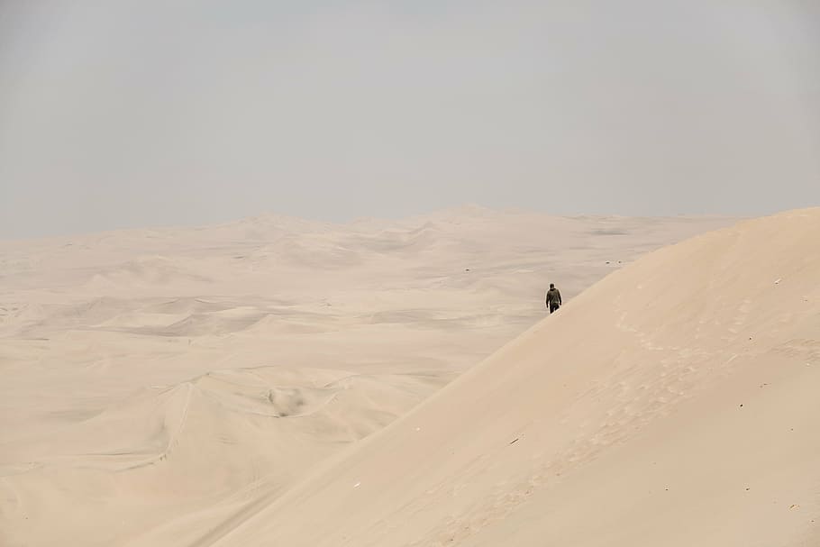 orang, berdiri, gundukan pasir, gurun, pasir, manusia, sendirian, hitam, coklat, alam