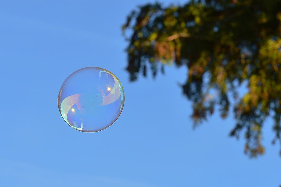 Soap Bubbles, Colorful, Balls, soapy water, make soap bubbles, float, mirroring, bubble, tree, mid-air