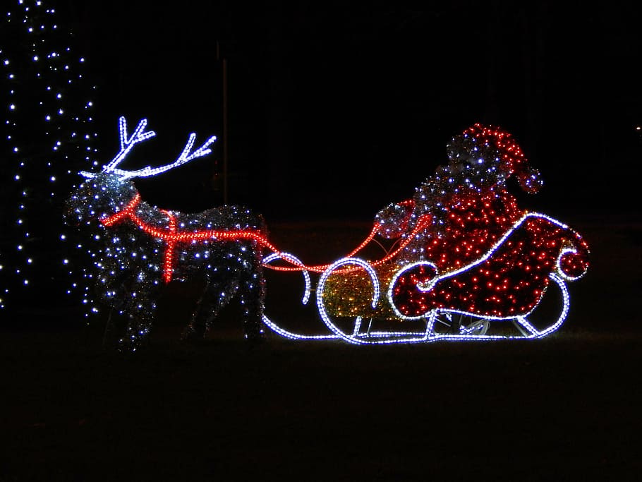 nicholas, christmas tree, decoration, reindeer, black background, studio shot, illuminated, night, creativity, animal