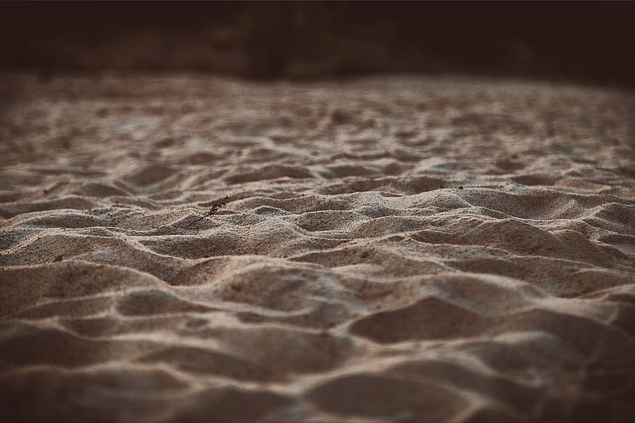 sand, the river's fish and, landscape, beach, pattern, textured, backgrounds, close-up, nature, land