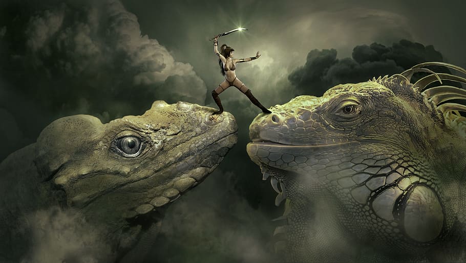 woman, holding, sword, standing, two, reptiles, Fantasy, Dragons, Mystical, Fairy Tales