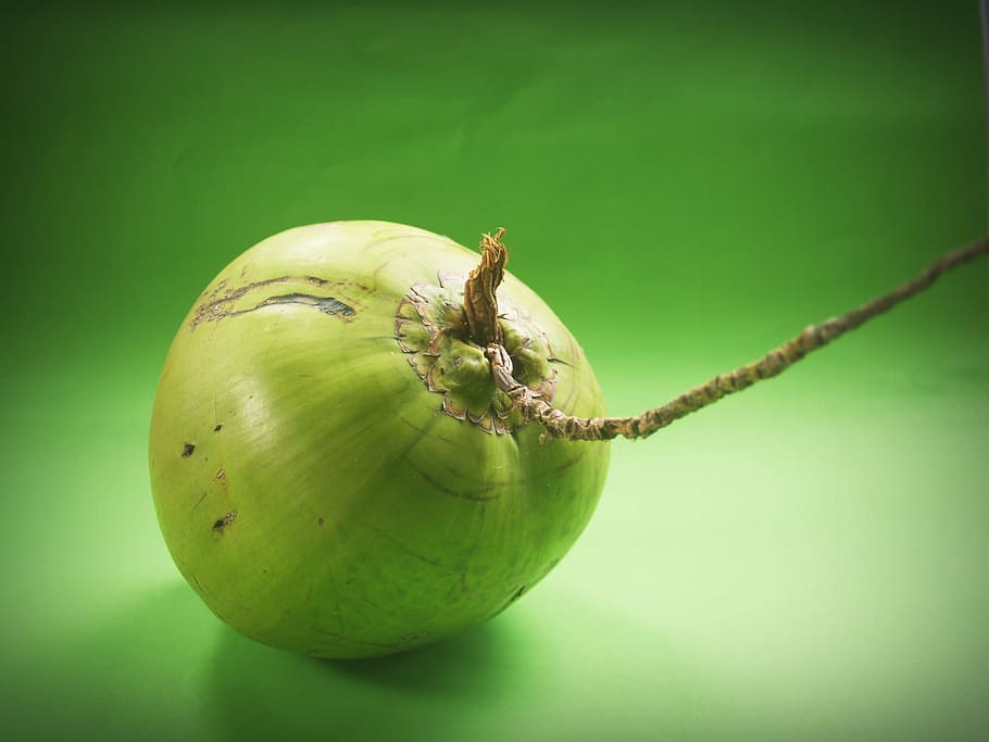 buah kelapa hijau, kelapa, hijau, putih, buah, latar belakang, susu, segar, kesehatan, kesegaran