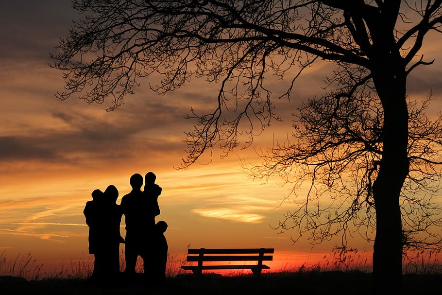 silueta, familia, en pie, banco, desnudo, árbol, puesta de sol, mujer, niños, padre