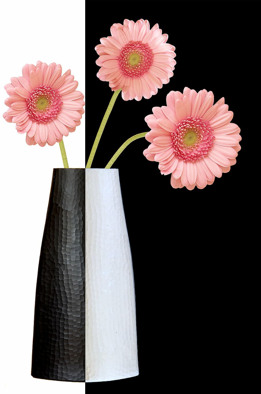 vase, flowers, decoration, pink flower, colors, flower, flower head, studio shot, plant, freshness